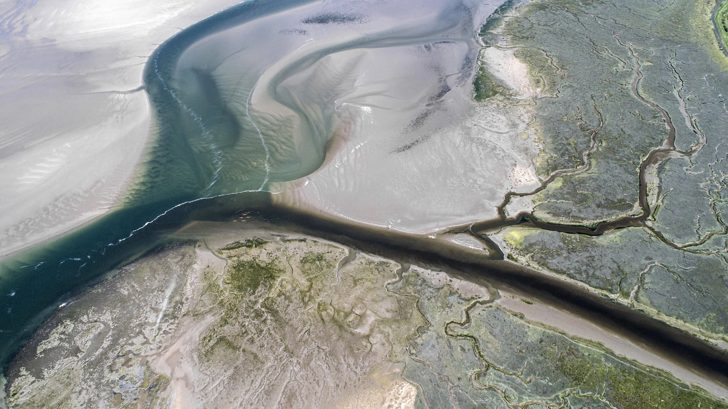 ALTUM - FINISHED.jpg