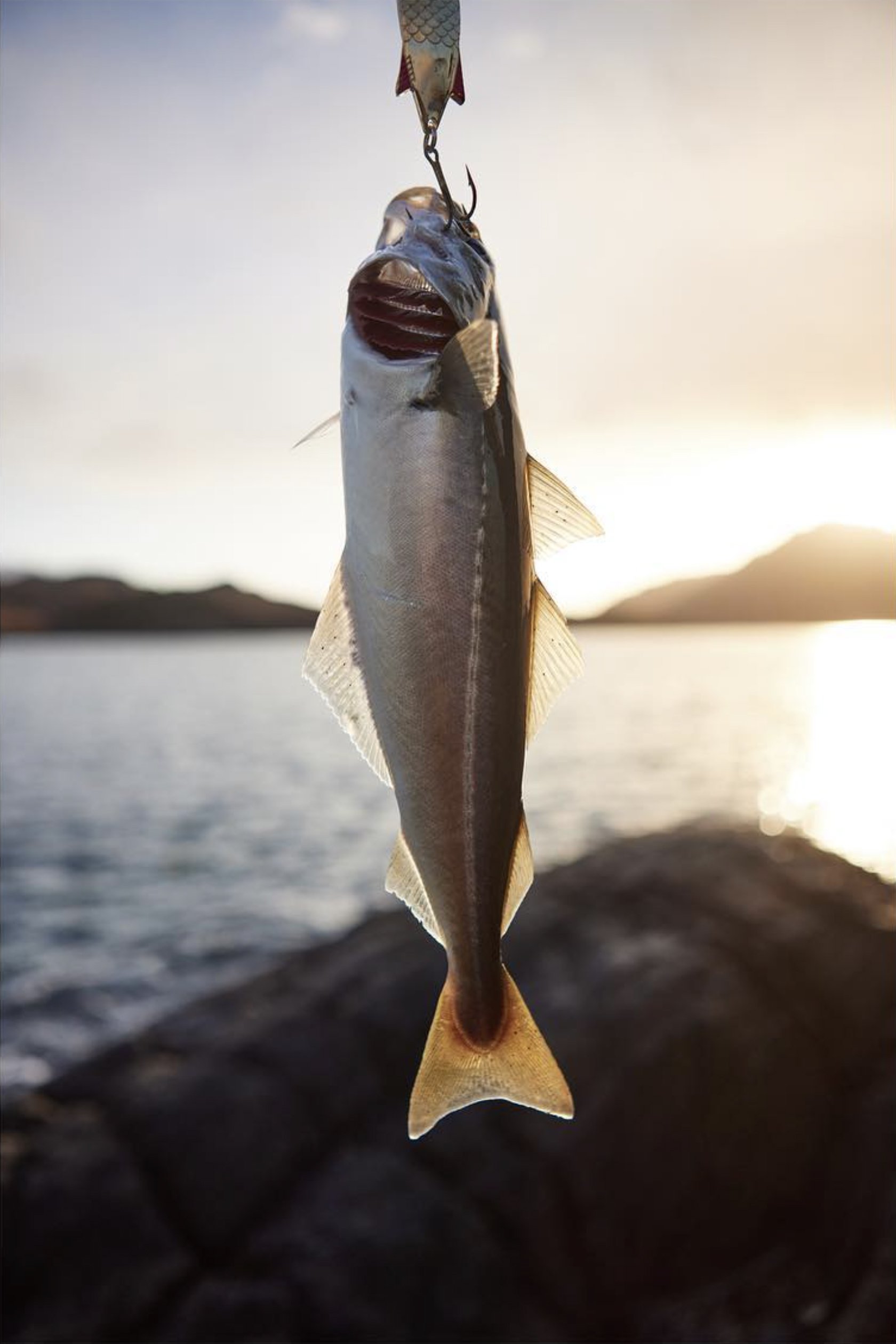 Knoydart_03.jpg