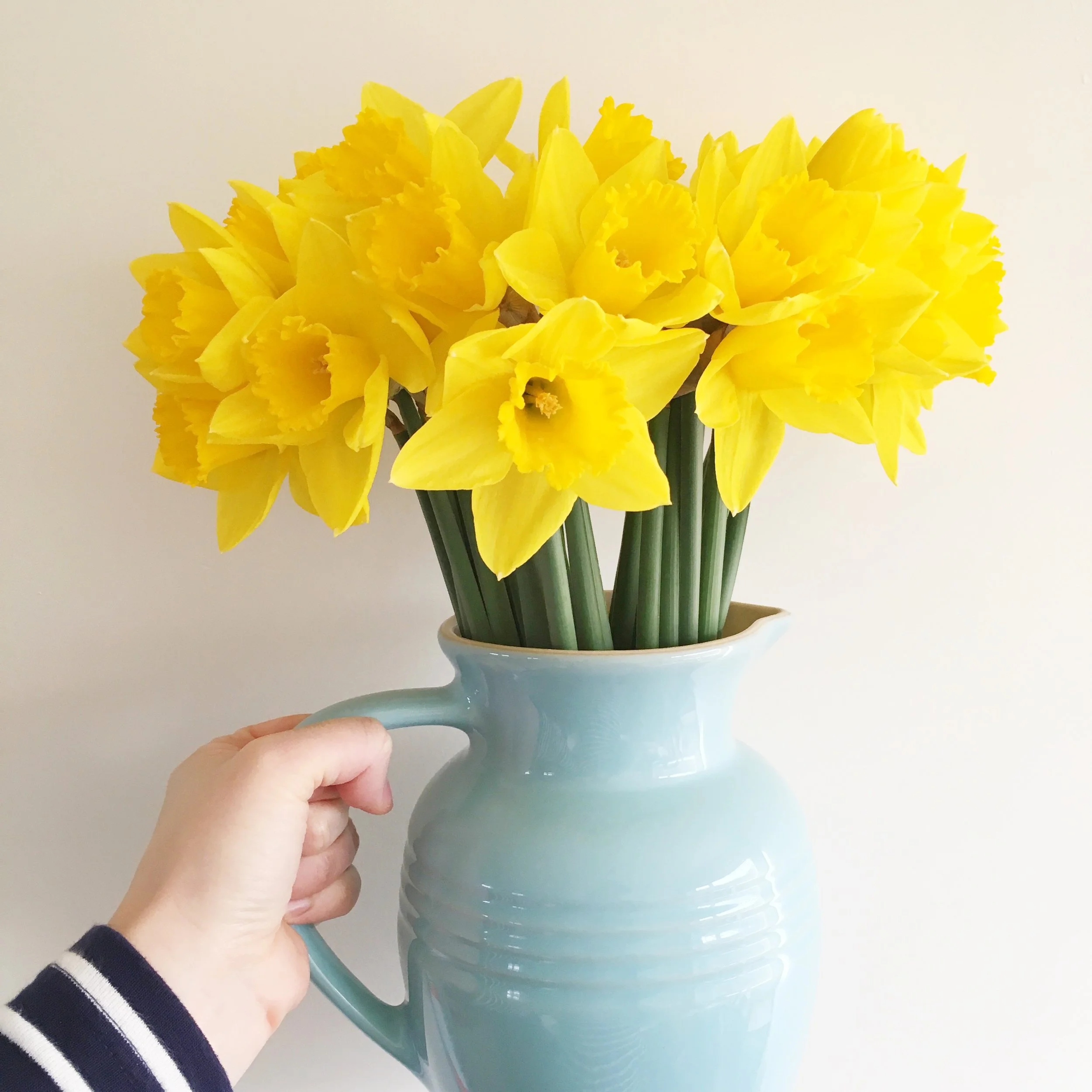 Spring flowers and Breton stripes | Hello! Hooray!.jpg