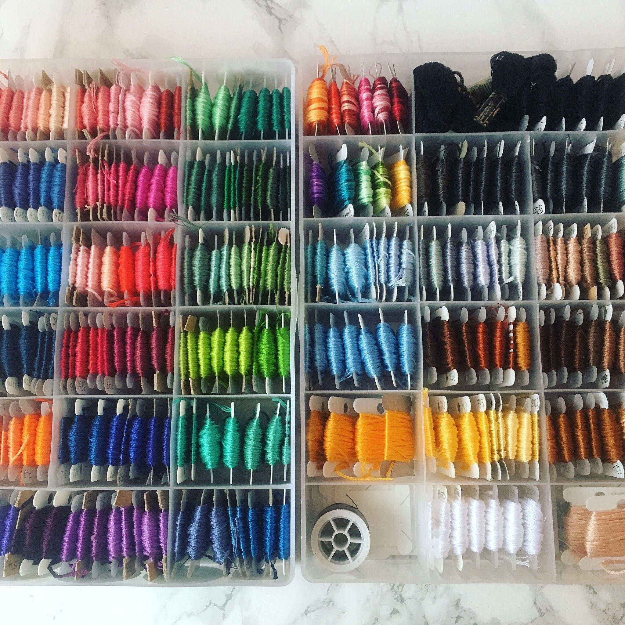 hatchling-makes-threads.jpg