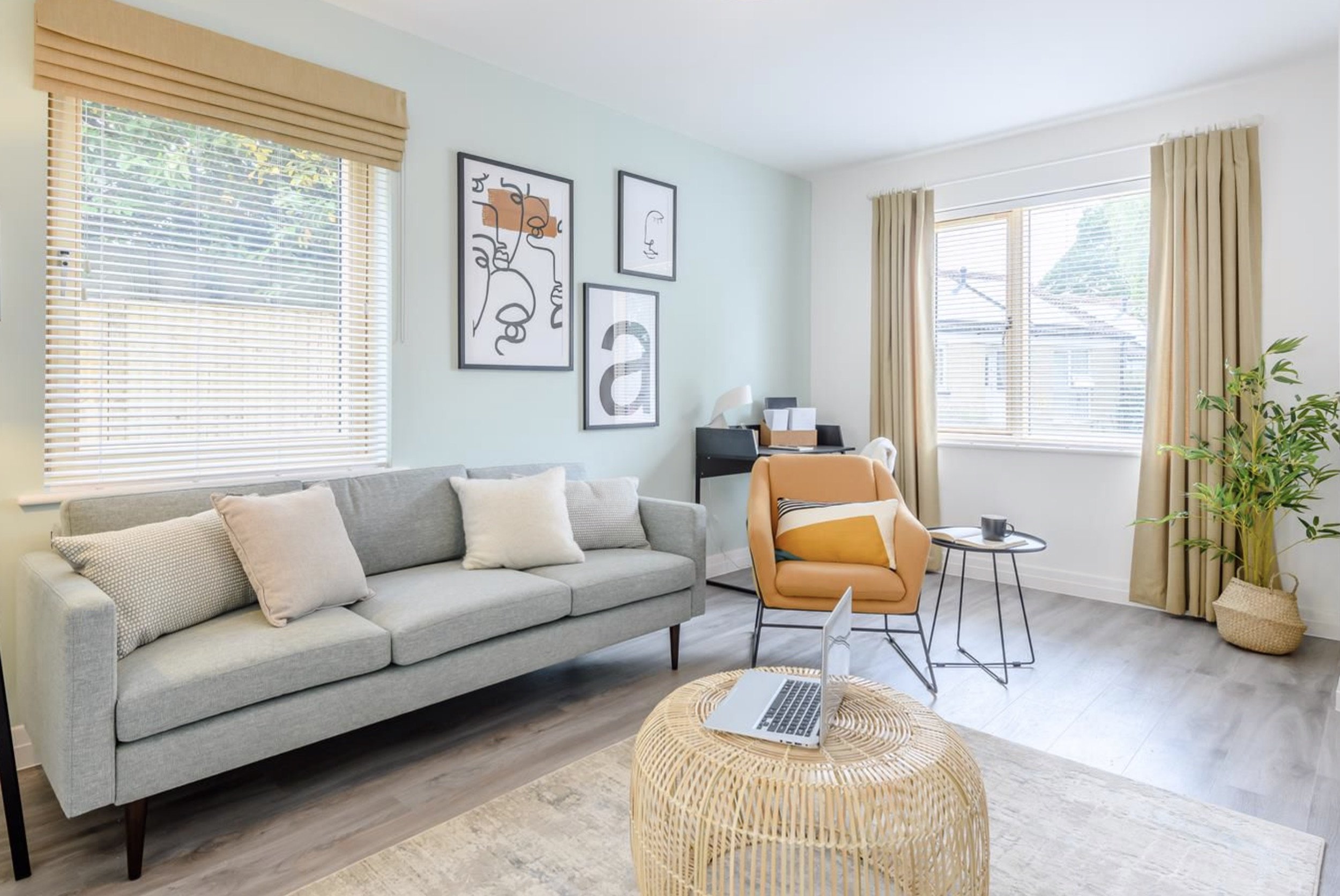 Curtains and blinds.jpg