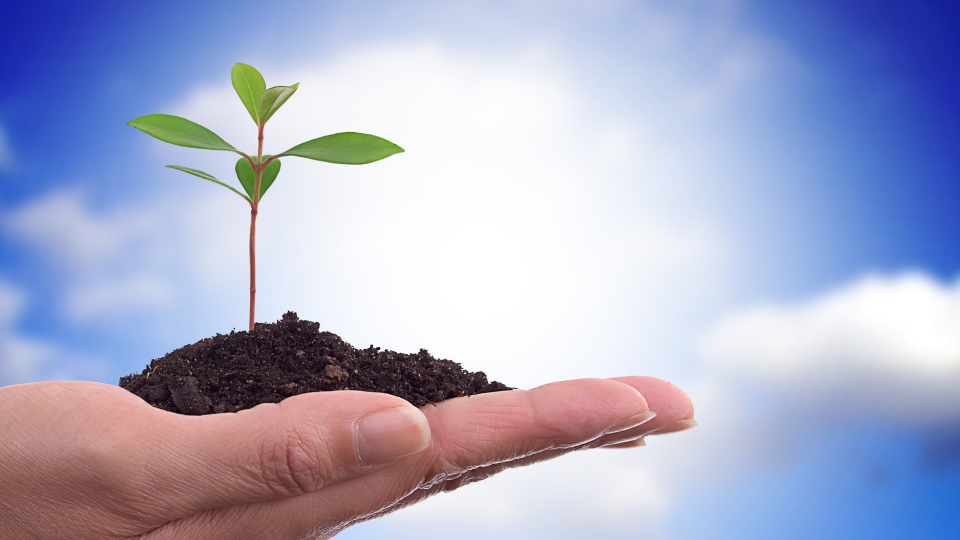Mature Church vs Growing Church