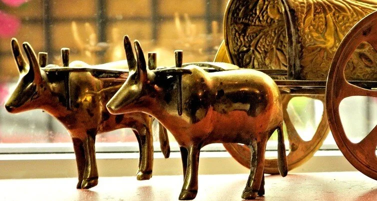 When The Oxen Stumbled