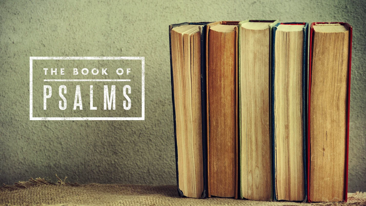 Let's Read The Psalms