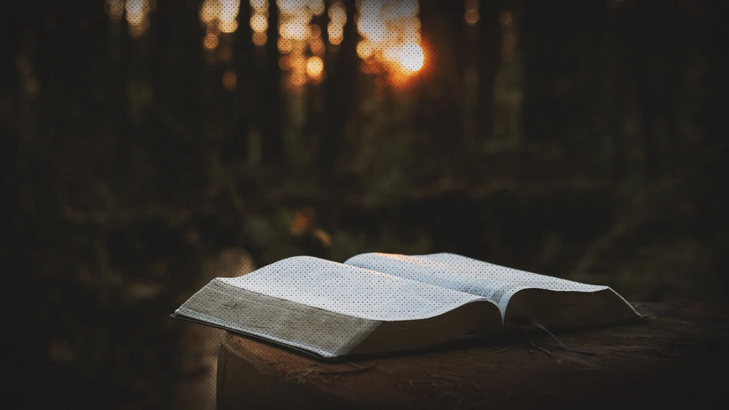 Know Your Failure Know Your Failure