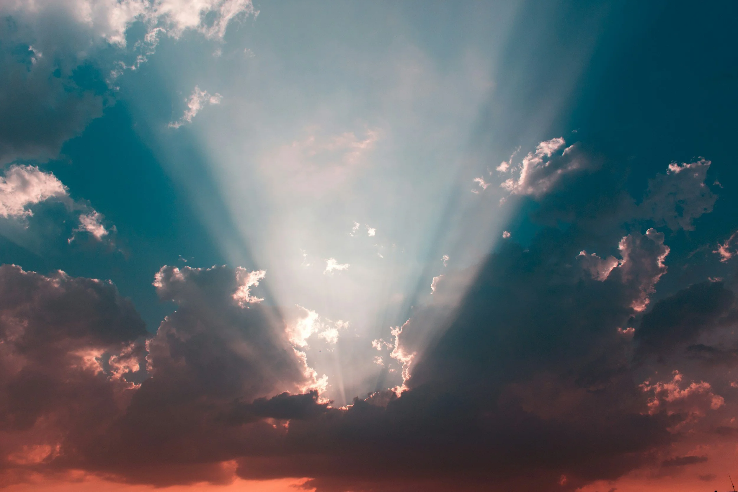unsplash-image-SOOTeA8nL4o.jpg