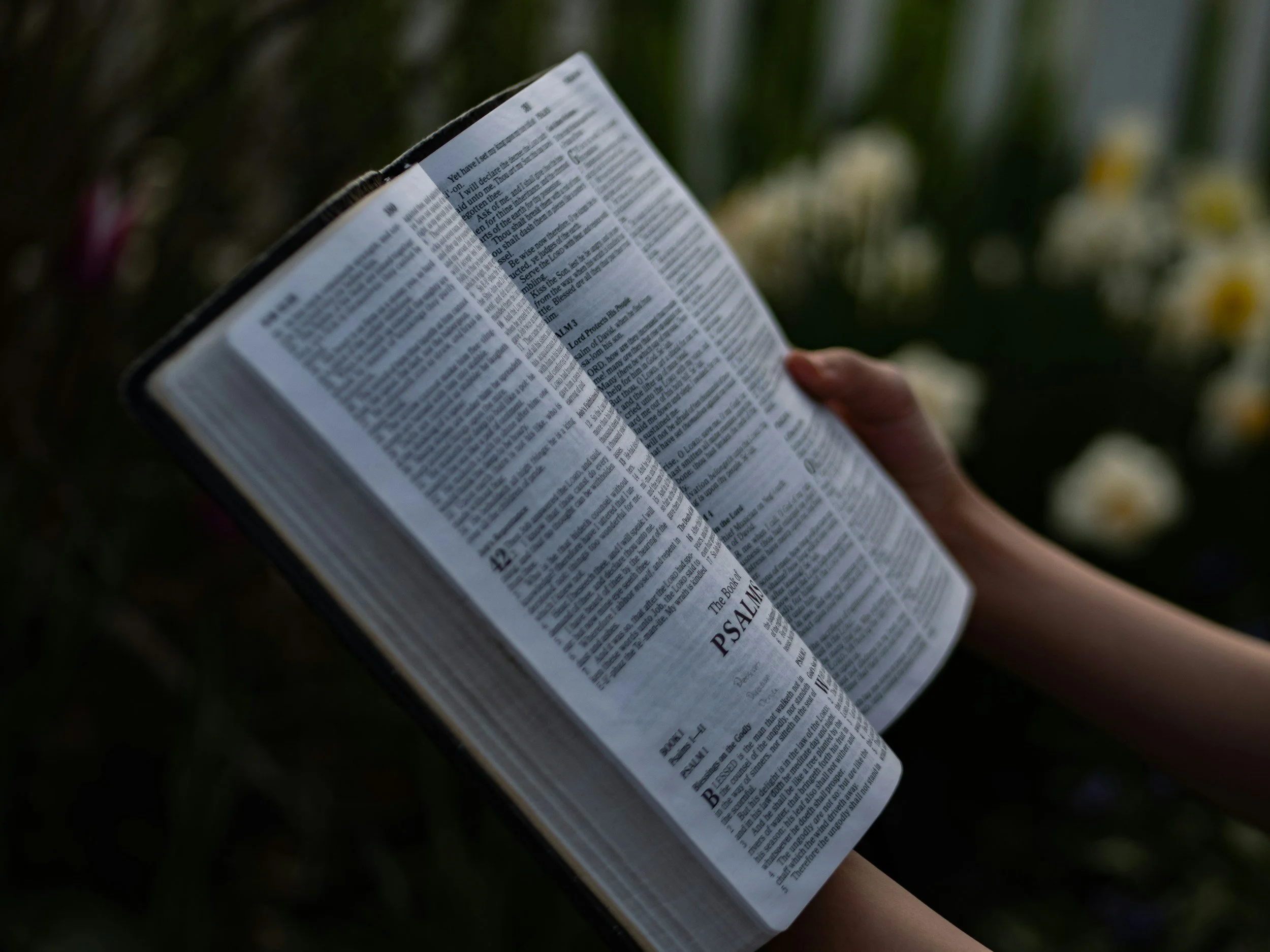Godliness and Truth; Moments of Joy
