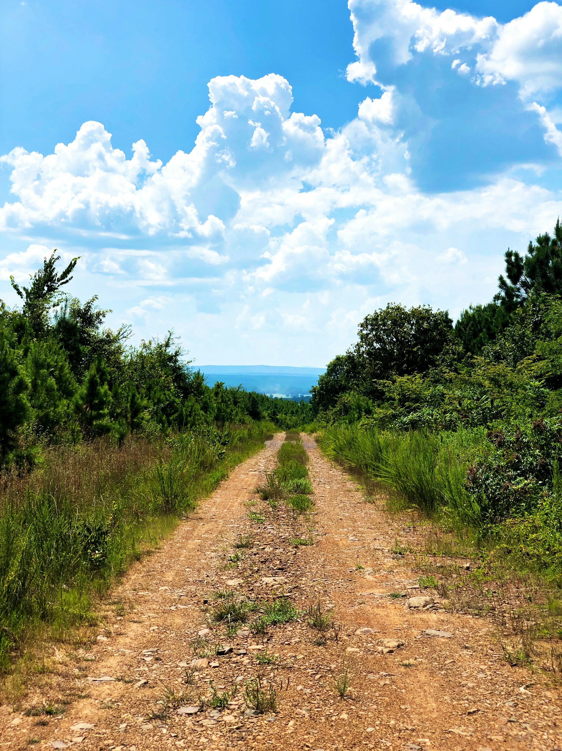 "Ananias: a Certain Disciple at Damascus" - By Carl Ballard