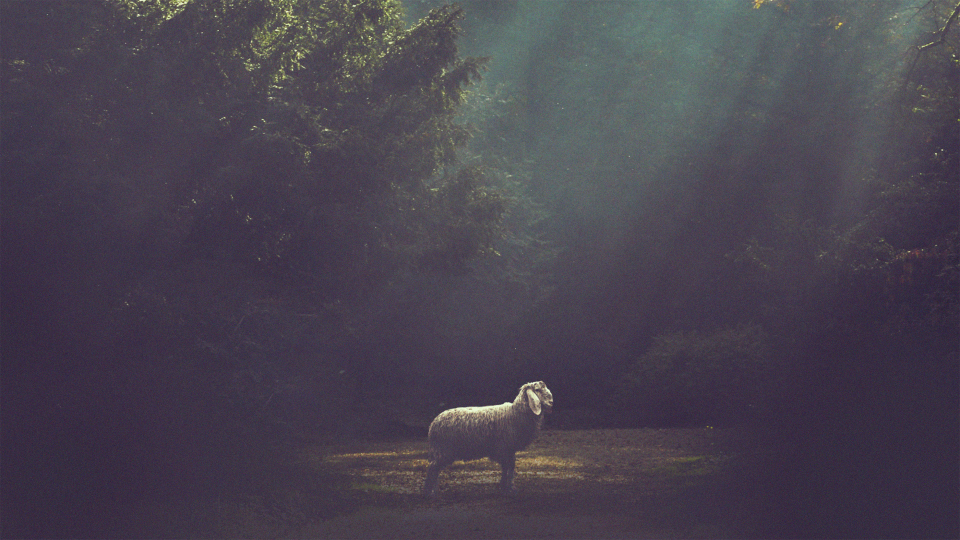 The Christian Who Cried Wolf