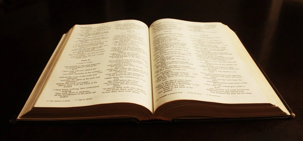 Psalm 19 episode artwork