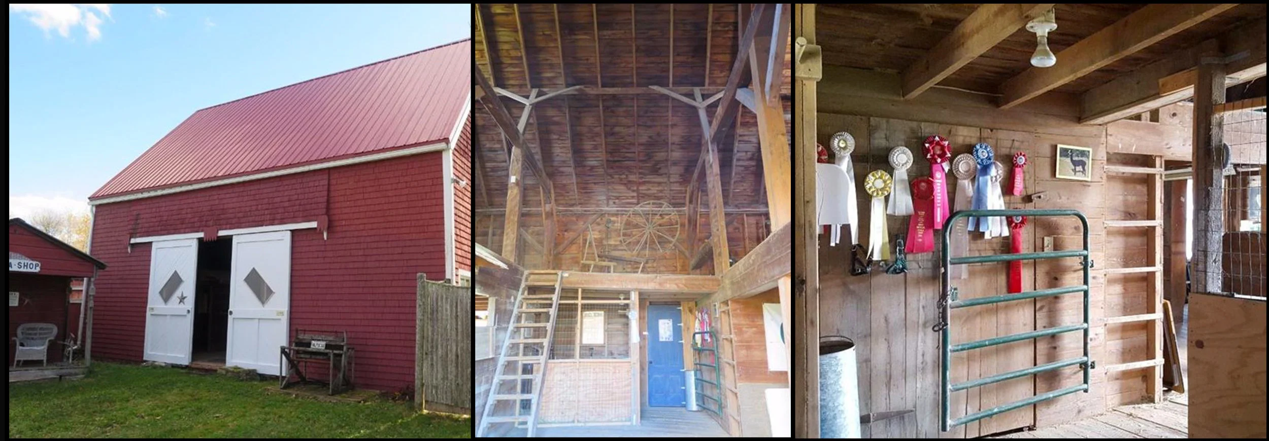 DIY brewery 7.jpg