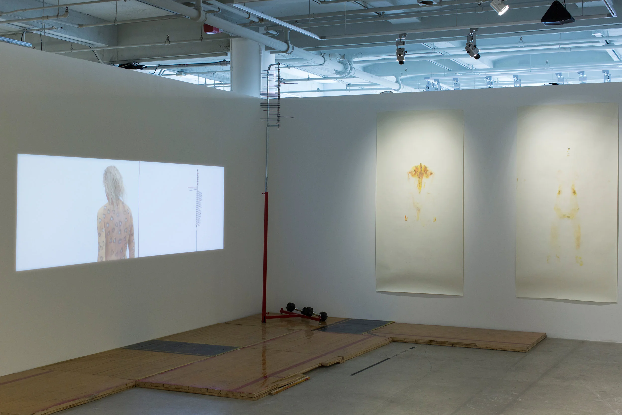 Jacqueline-Surdell-Artist-Installation-Ah-Pussy-of-the-Sands-12.jpg
