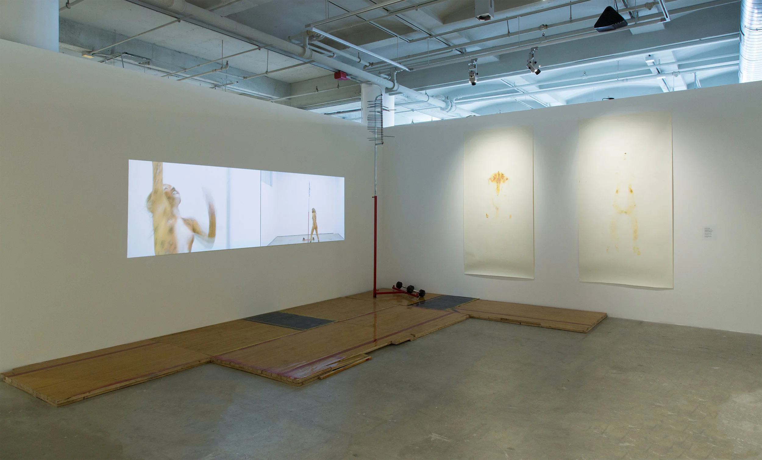 Jacqueline-Surdell-Artist-Installation-Ah-Pussy-of-the-Sands-02.jpg