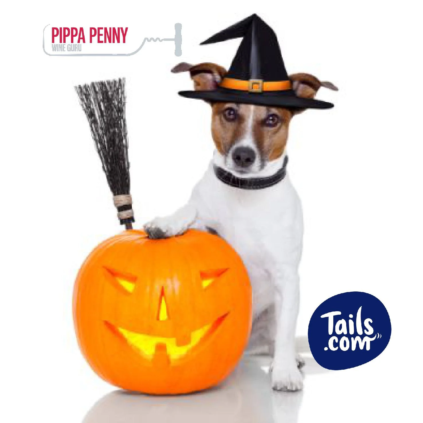 Wine &amp; Canine - Howl-O-Wine £15 per human (dog-friendly wine tasting) 