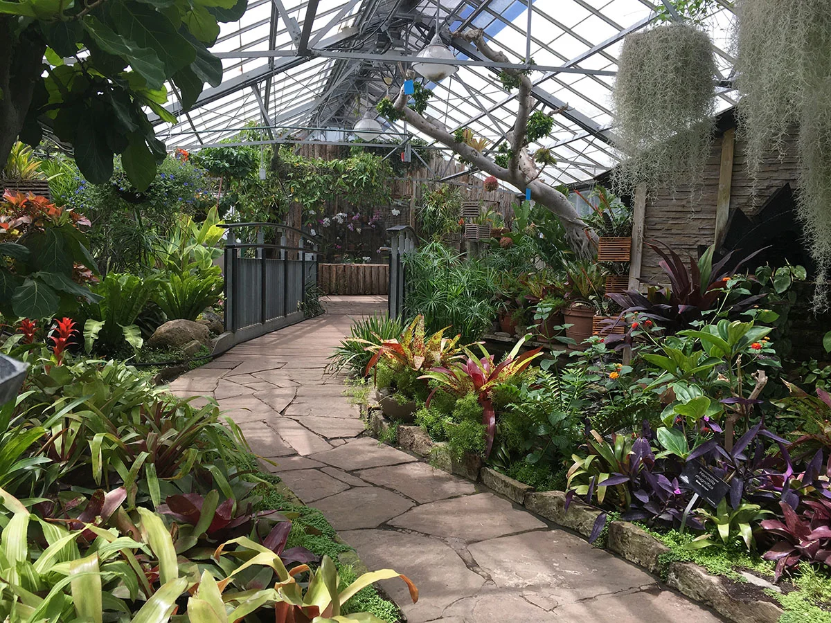 Allen Gardens 1.jpg
