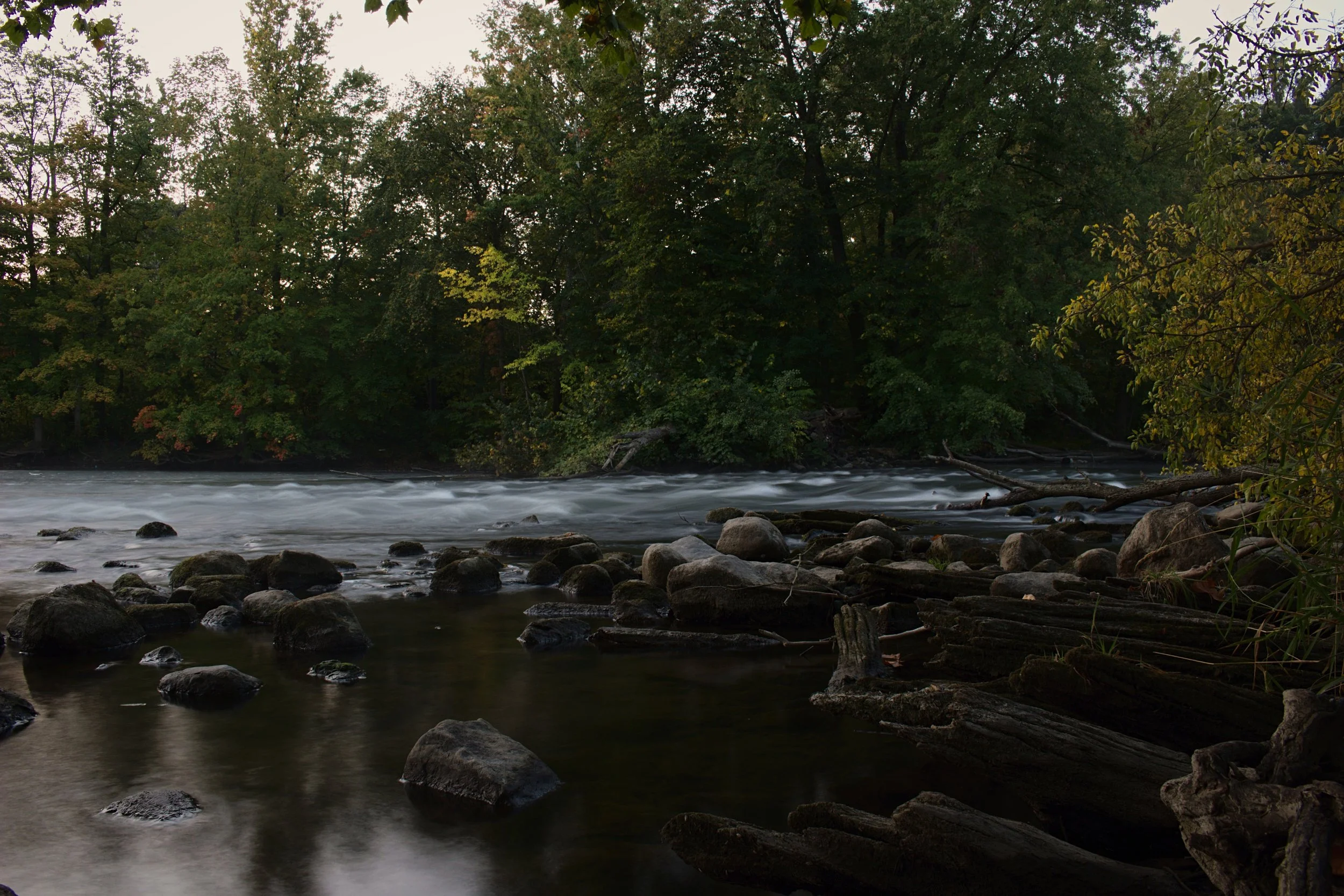 The group split into two to avoid crossing this area of the river at Ruehs park, where an old mill is supposed to have sat. The worn wood on the bottom right was likely part of the former structure. There is a deceptive deep spot in the river, that caused a drowning, just last year.