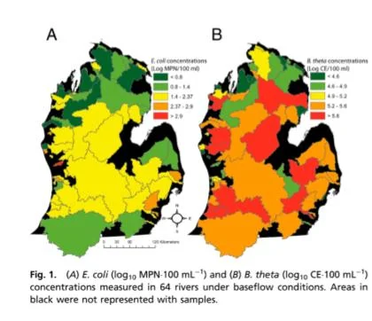 Maps from Rose's 2014 study. On the left the colors indicate levels of E. coli, on the right they represent B. theta. Warmer colors represent higher levels.