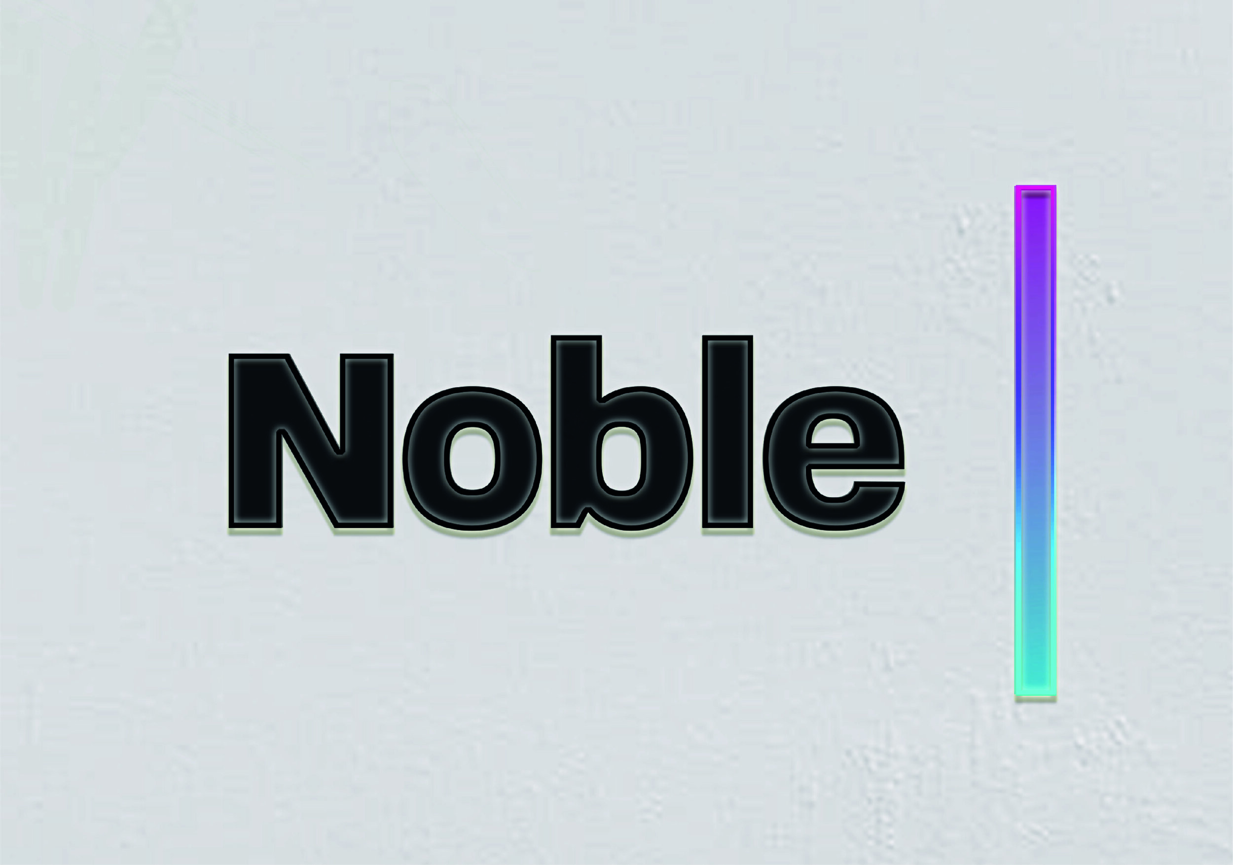    Noble Space Branding   