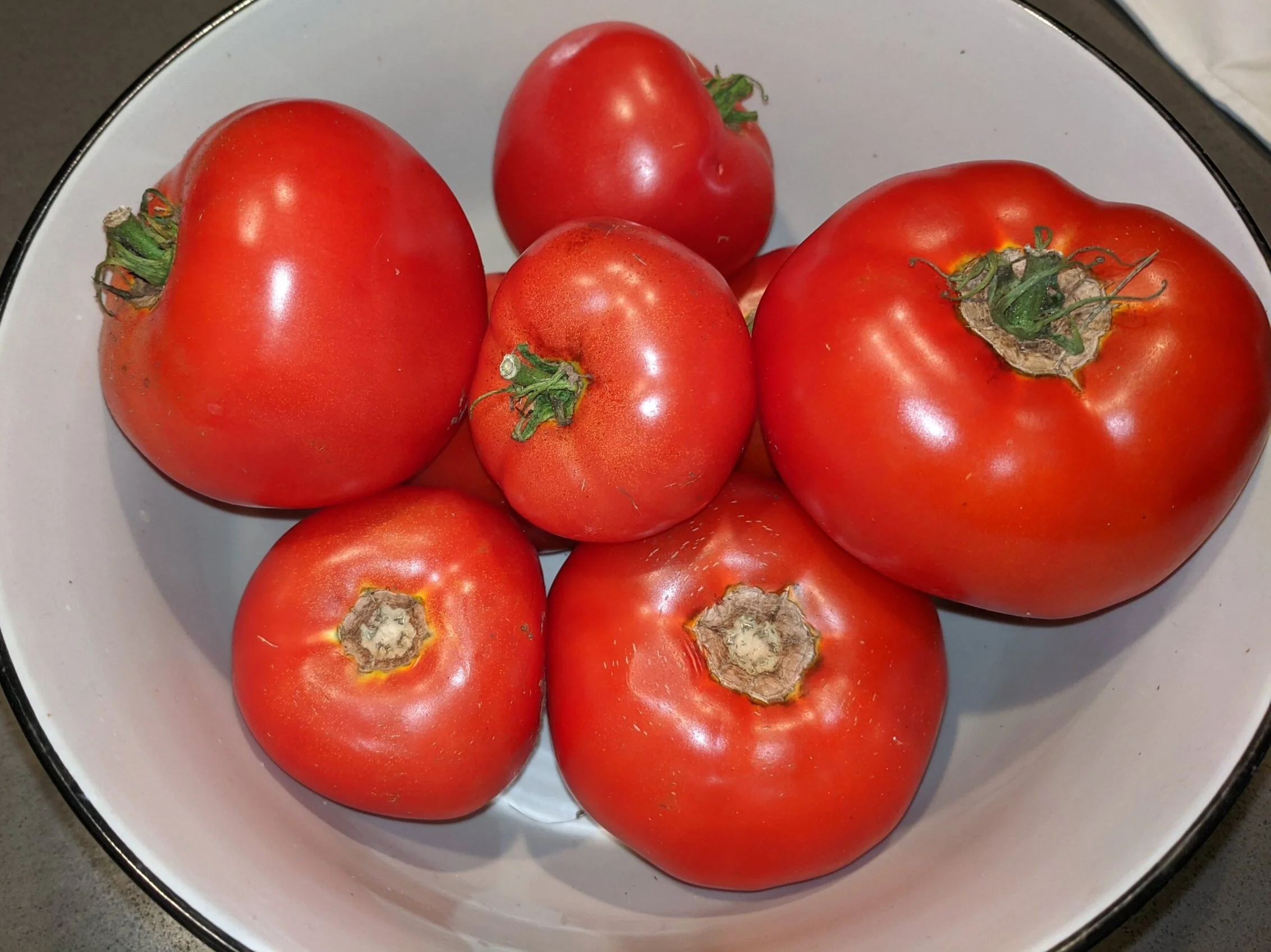 Last Call for Tomatoes