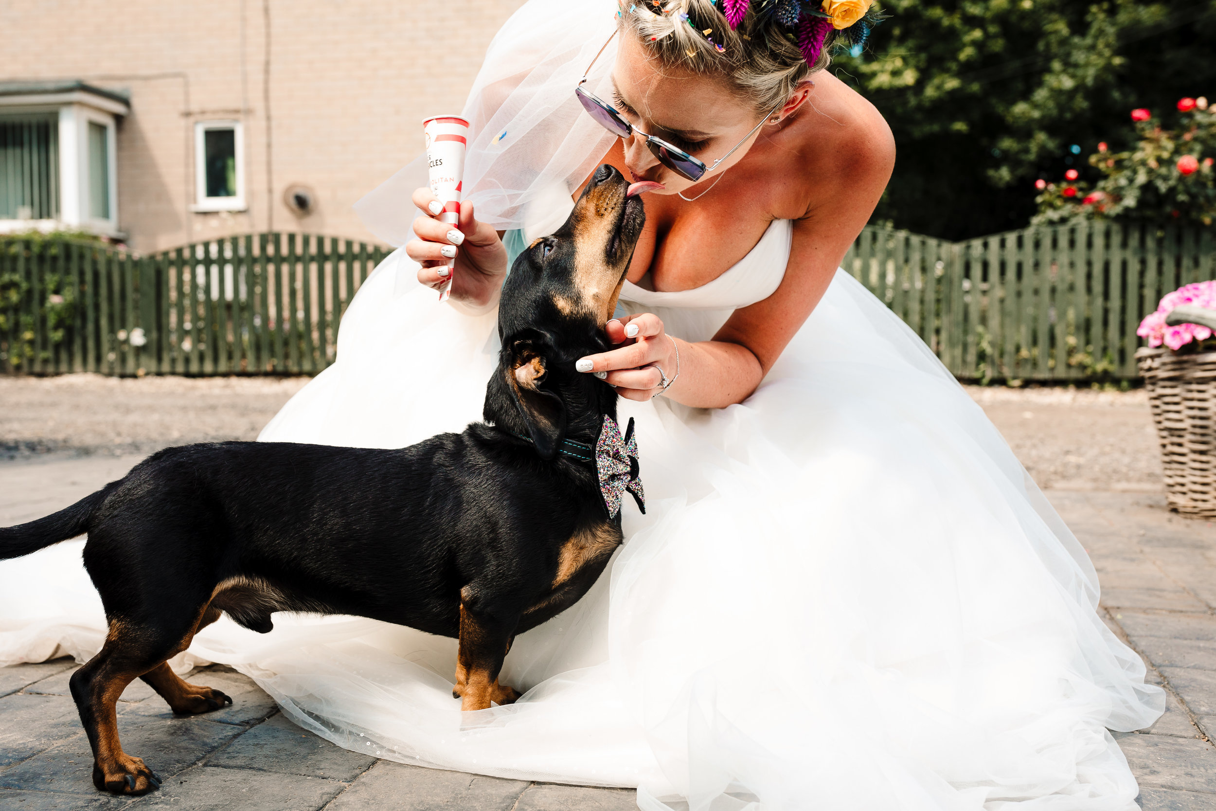 A bride eating an ice lolly and getting kisses from her dog