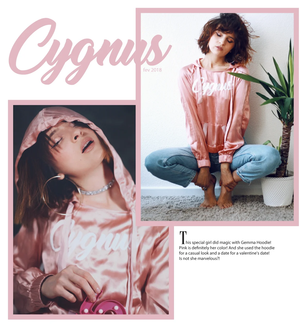 cygnus_gina.jpg