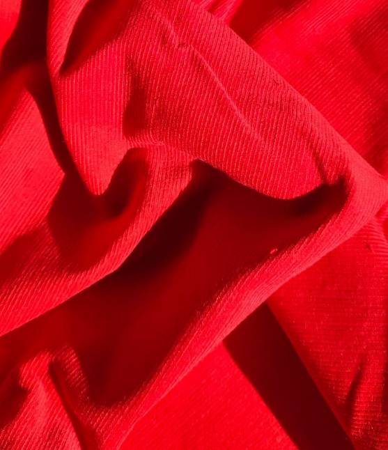 Harrisia Trousers + Larrea Skirt - Red.png