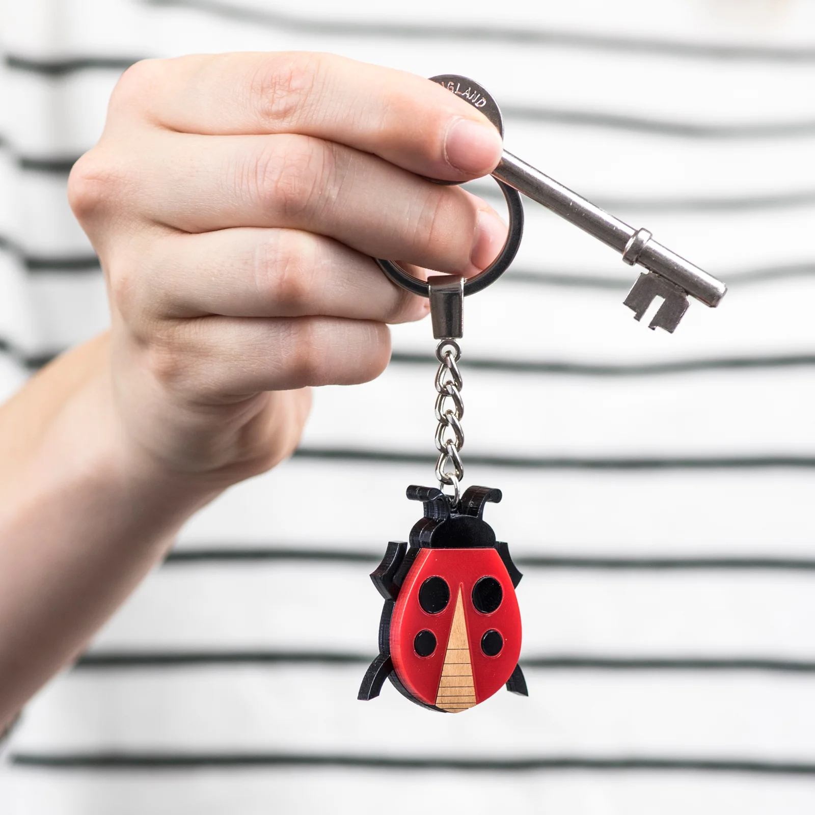 Laura-Danby-Ladybird-Keyring5.jpg