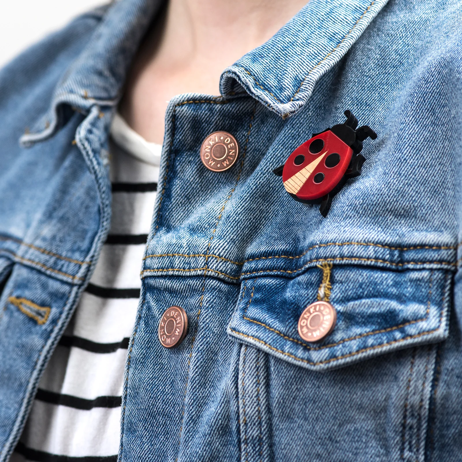 LauraDanby-Ladybird-Brooch1.jpg