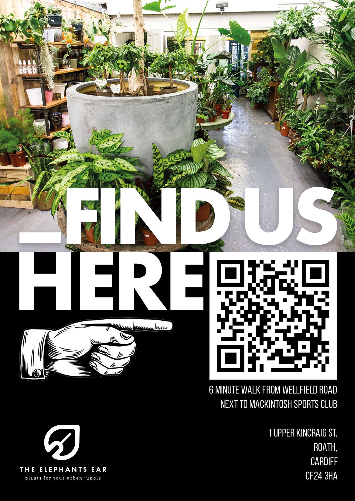 Hello_Roath_Flyer_A6_side2_2.jpg