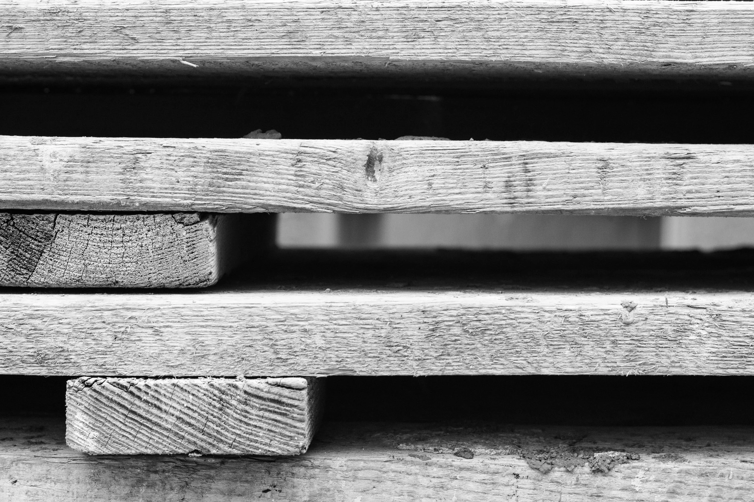pexels-photo-221037.jpeg