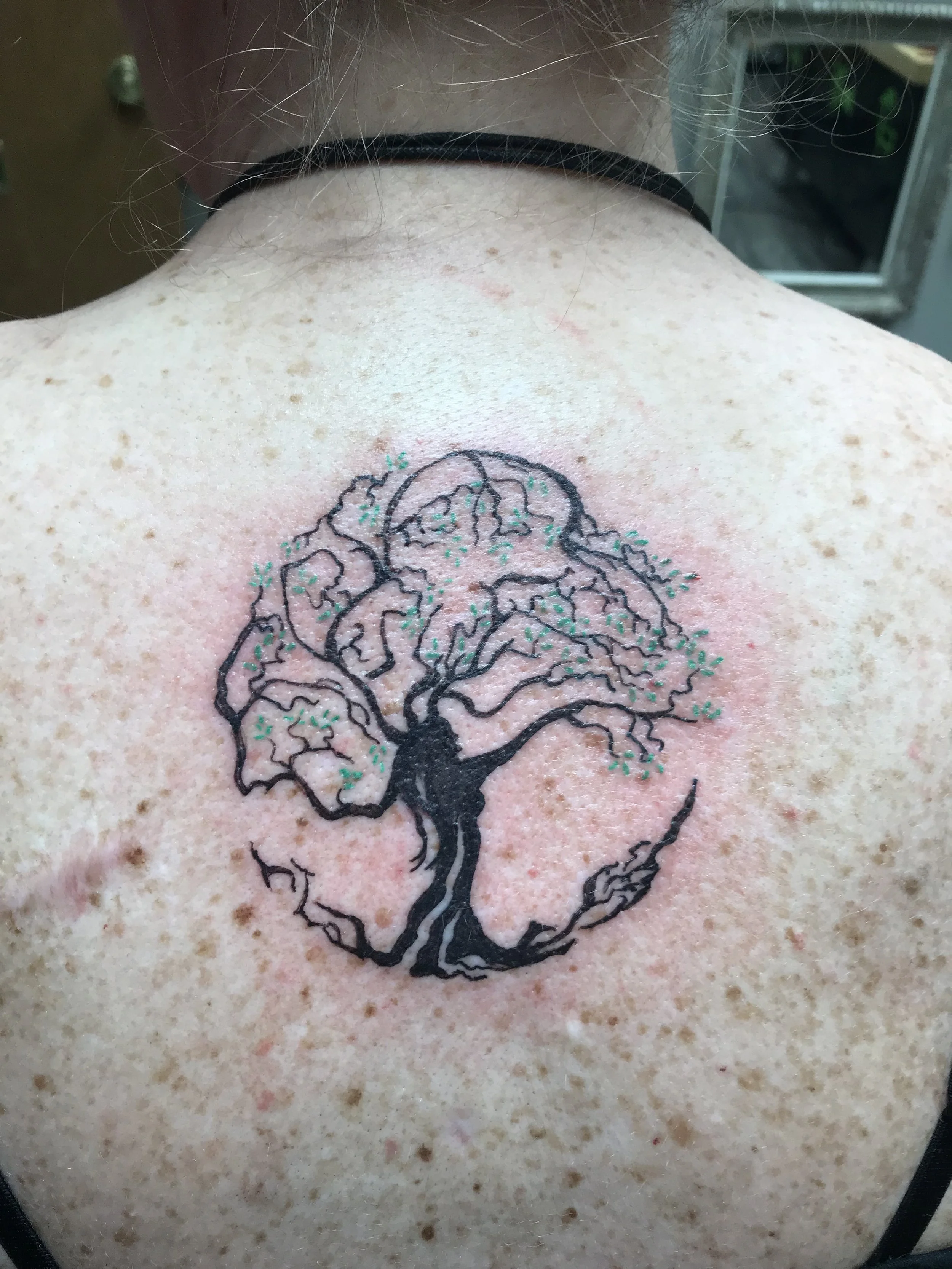Badger Tattoo LLC Gunnison