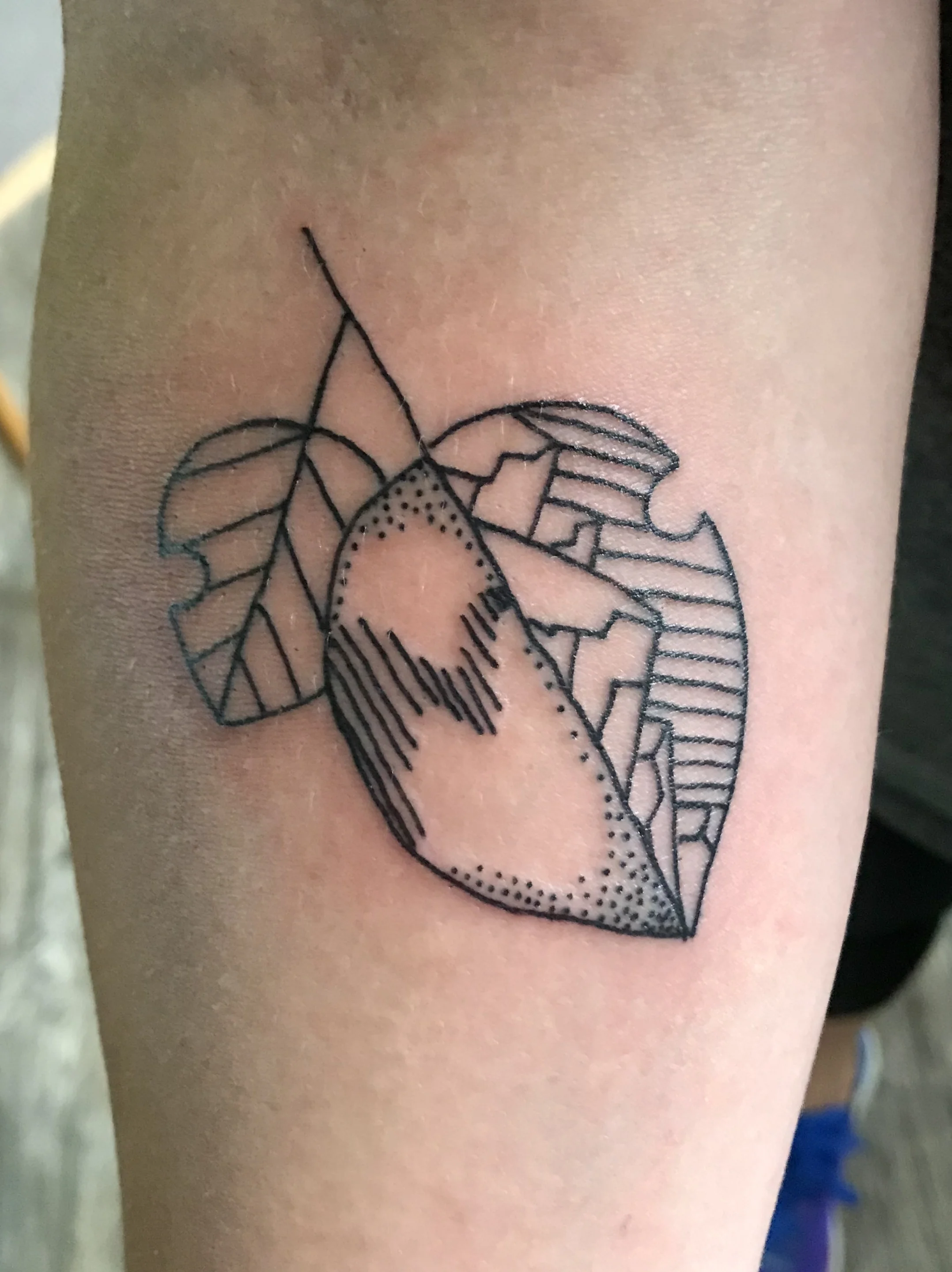 Badger Tattoo LLC Gunnison