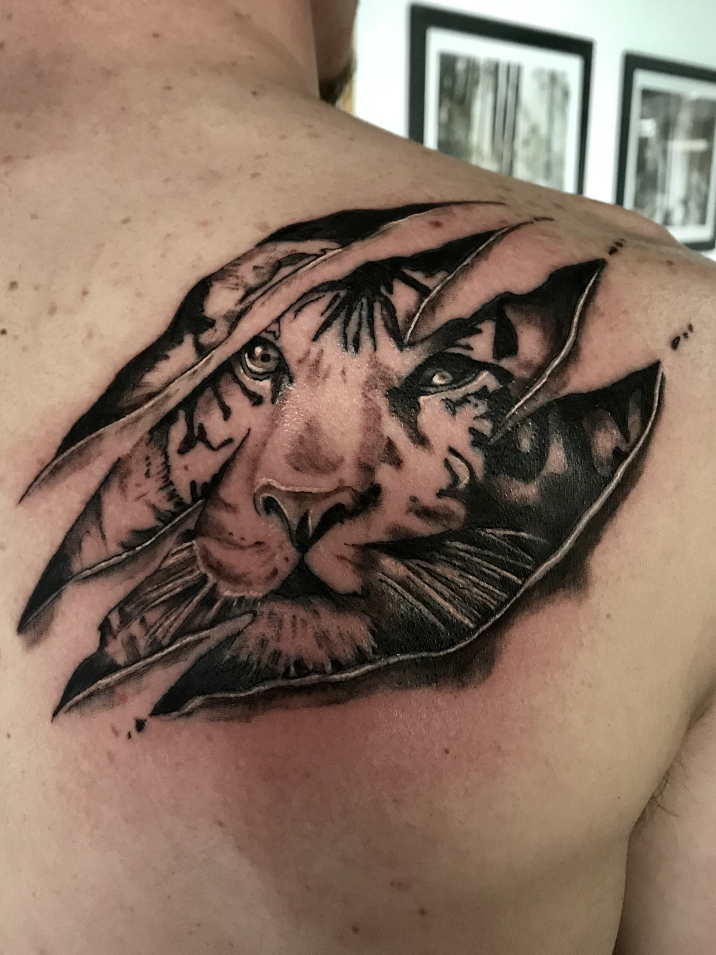 Badger Tattoo LLC — Tattoos by Gale Levins