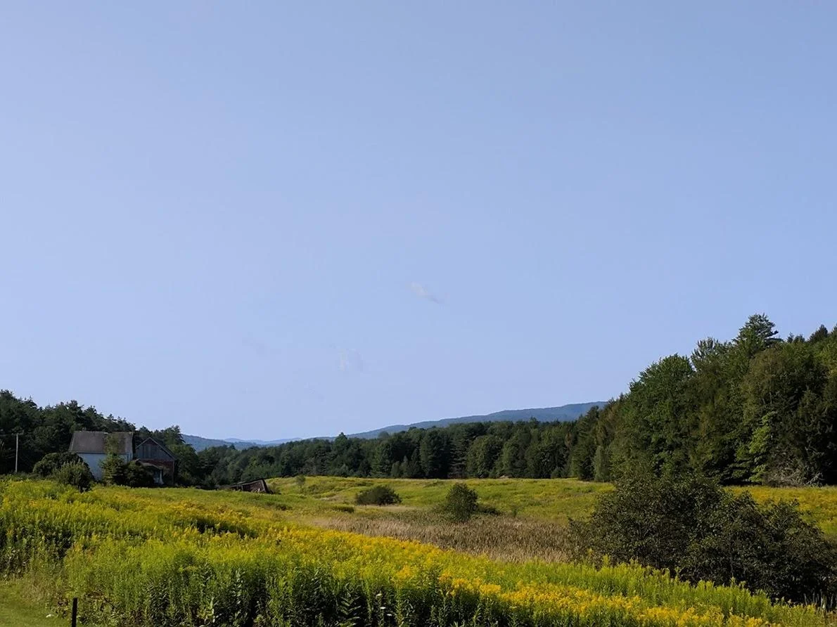 image7.jpg