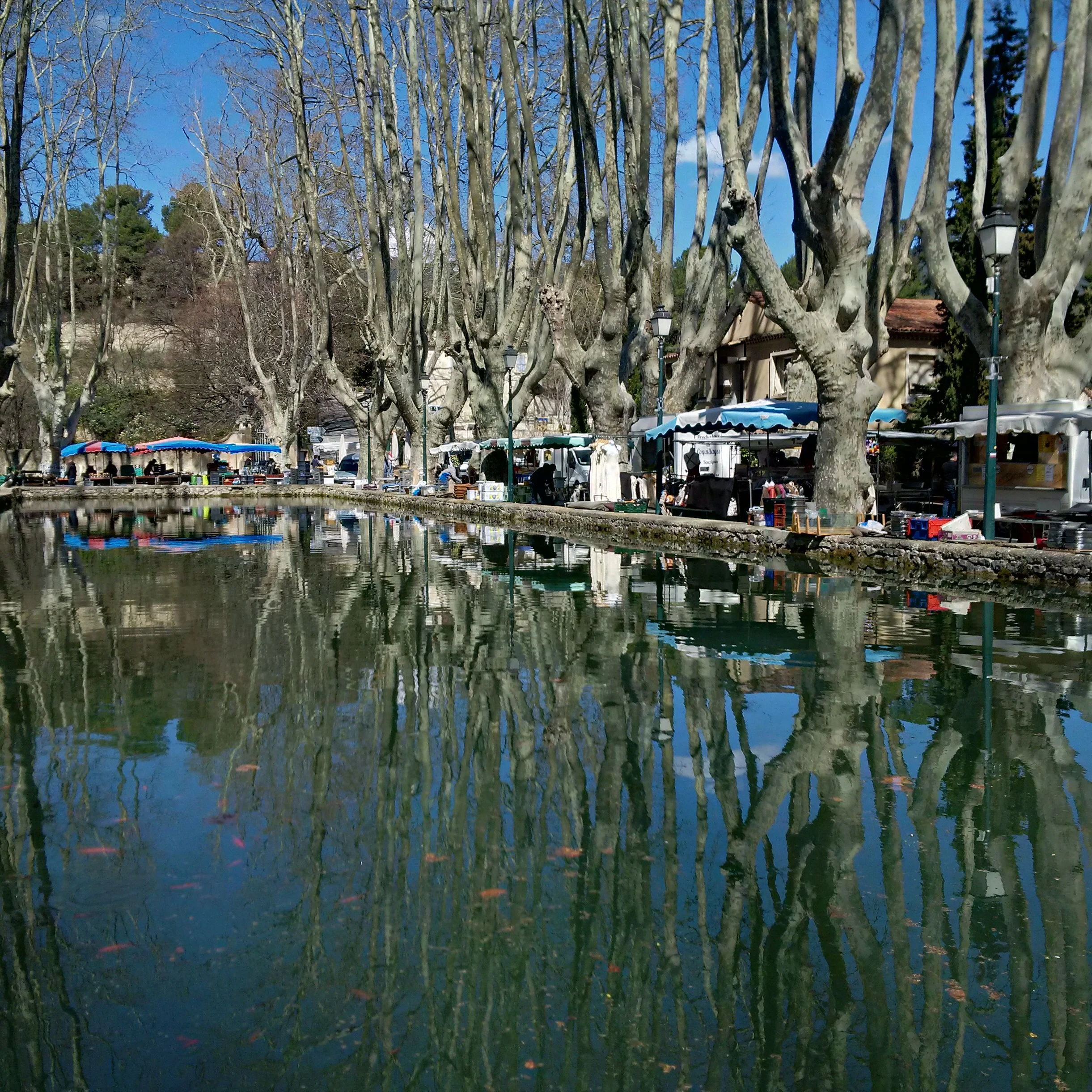 Cucuron Market