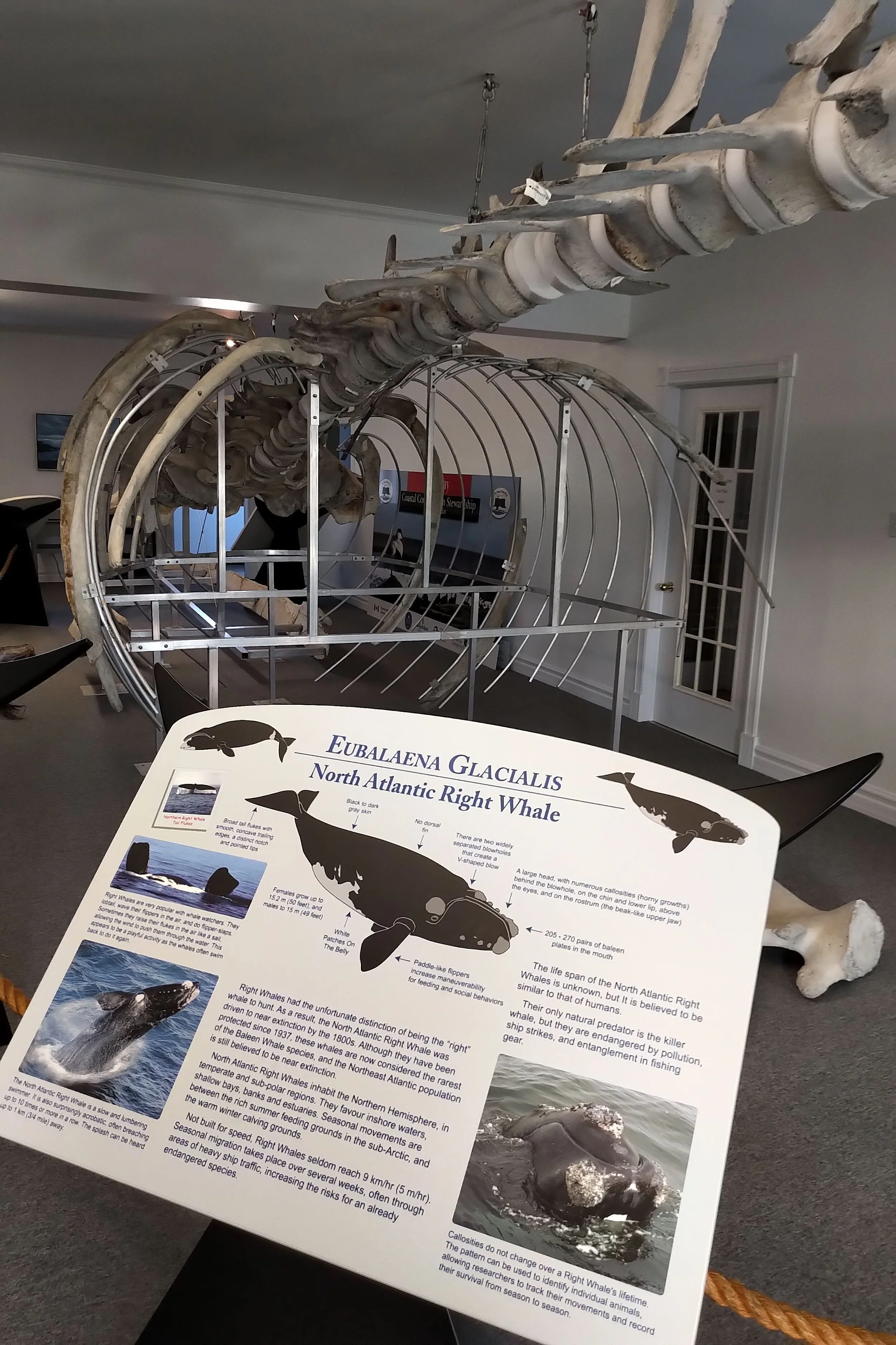 Interpretation Centre at Red Bay