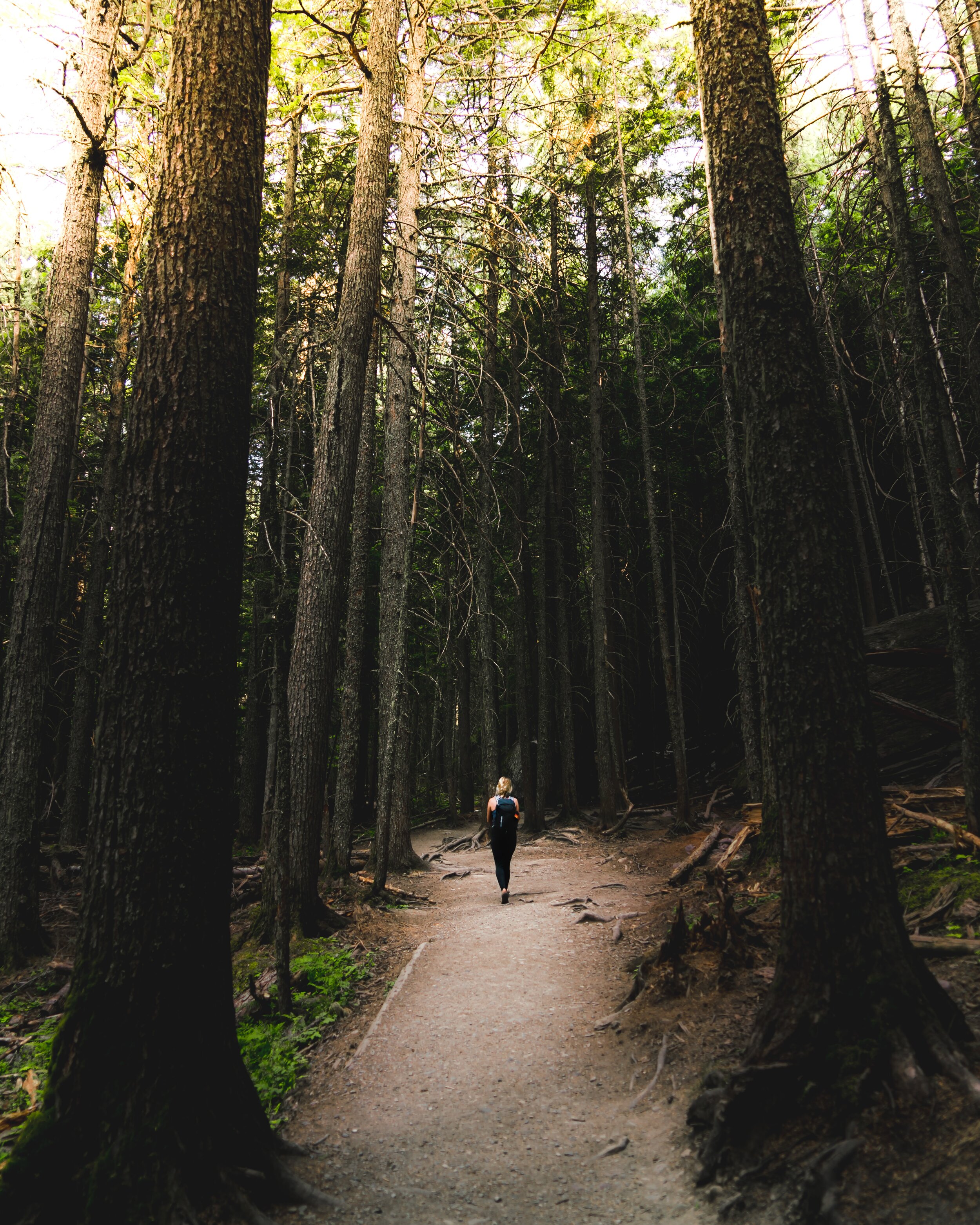 trail-5yOnGsKUNGw-unsplash.jpg