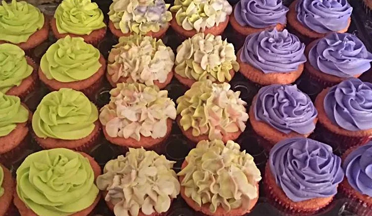 Classic MINI Cupcakes