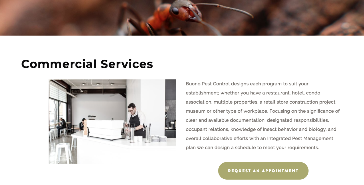 Buono Pest Control Website After Commercial Services Page.png