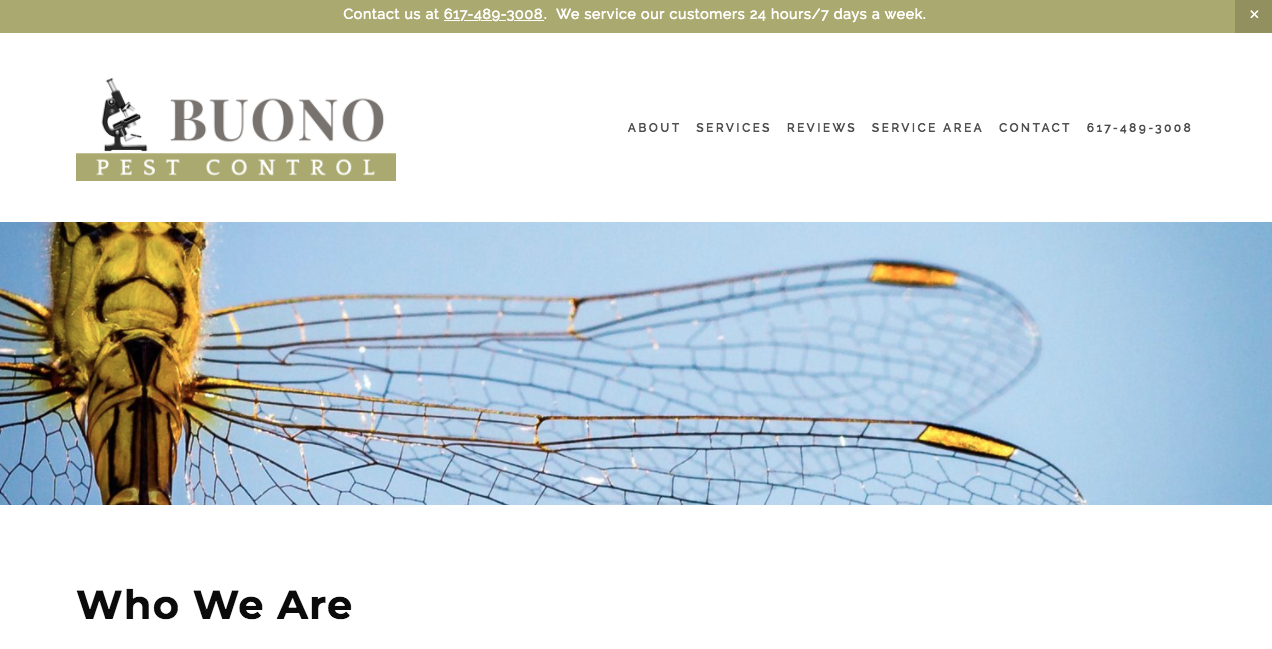 Buono Pest Control Website After About Page.png