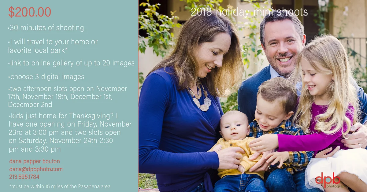dana's holiday mini shoot ad.jpg