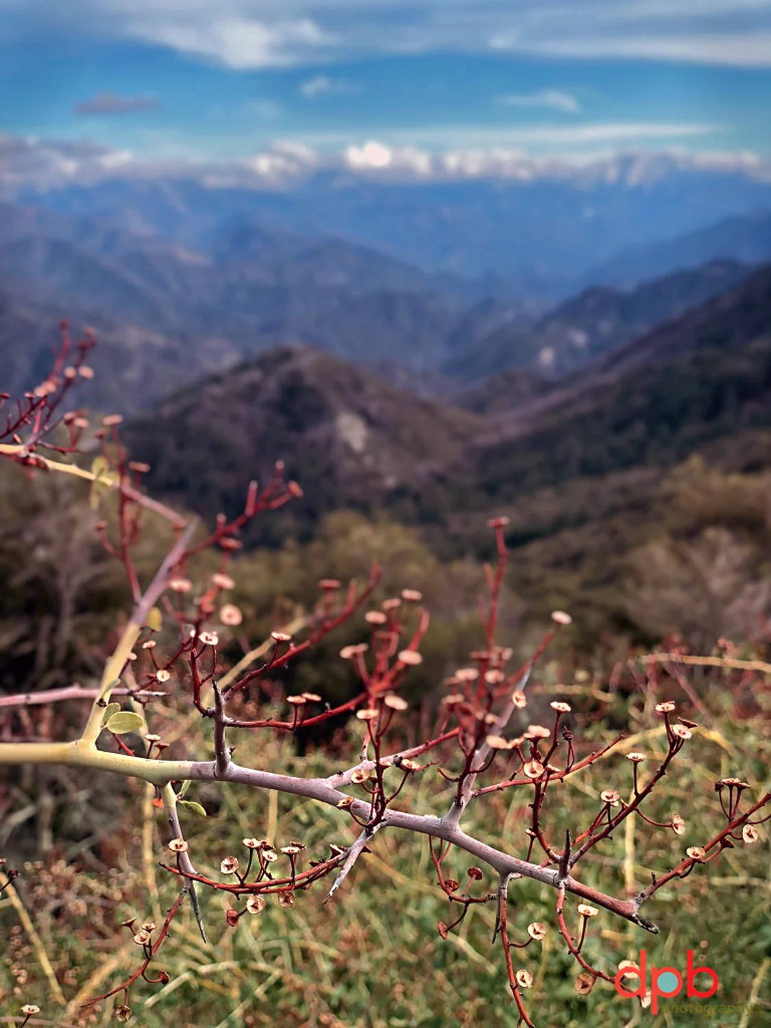 1.13.19 Mount Wilson.jpg