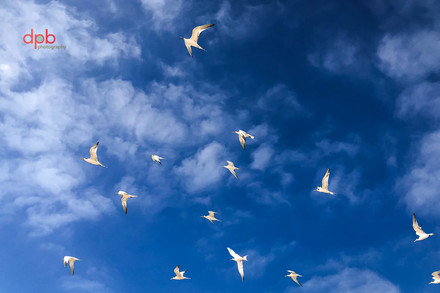 Death, Birth, Memories and Moving On