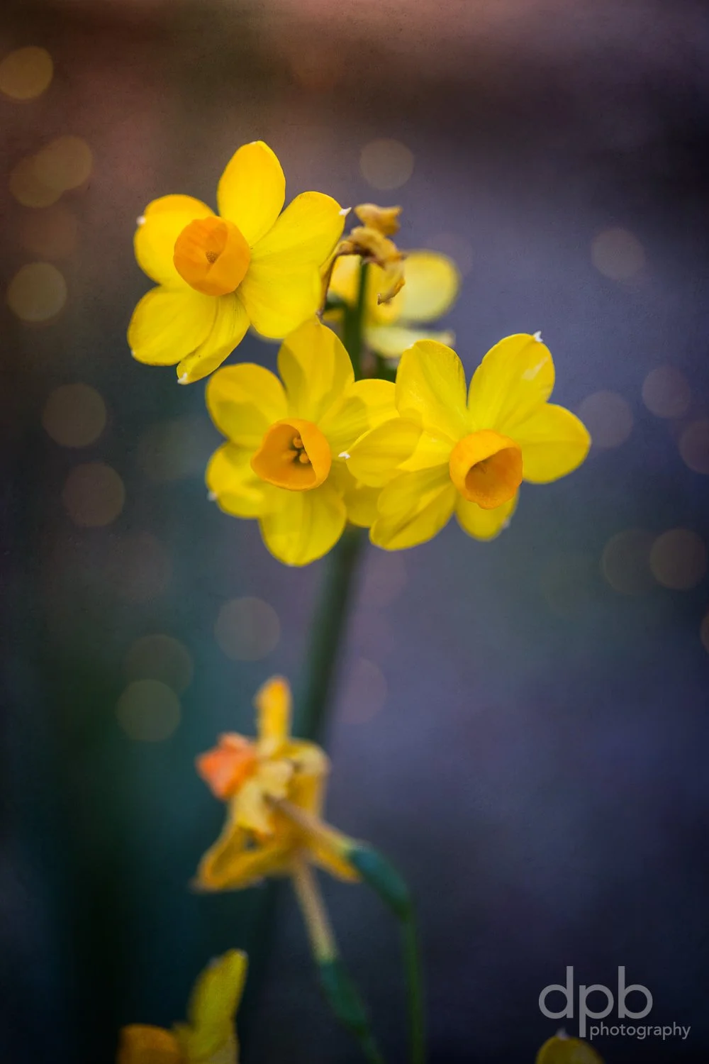 Happy Birthday to Me!