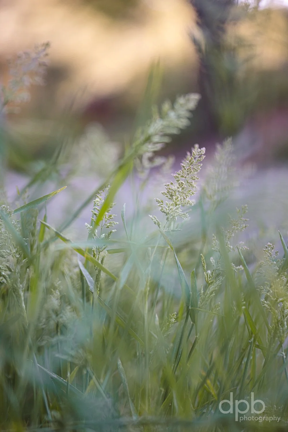 _June 07, 2026_6046.jpg