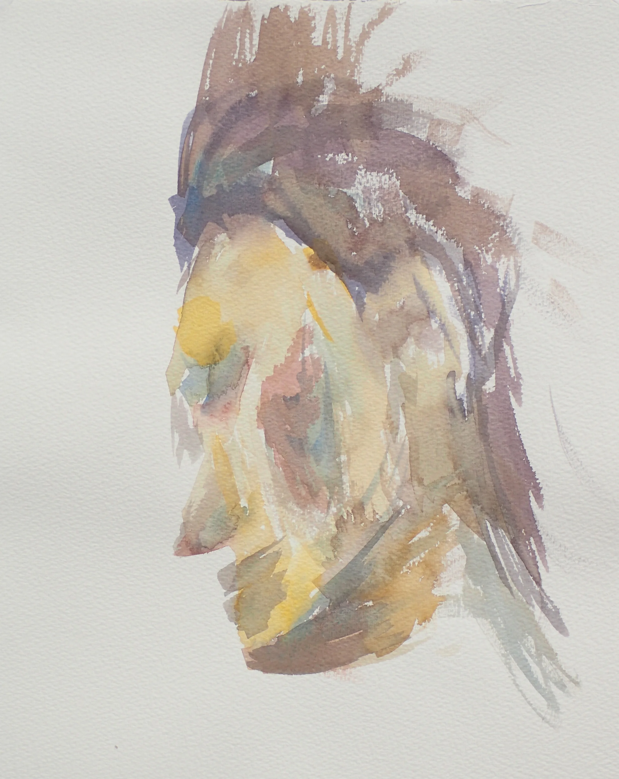 Indian Head Water Color.jpg