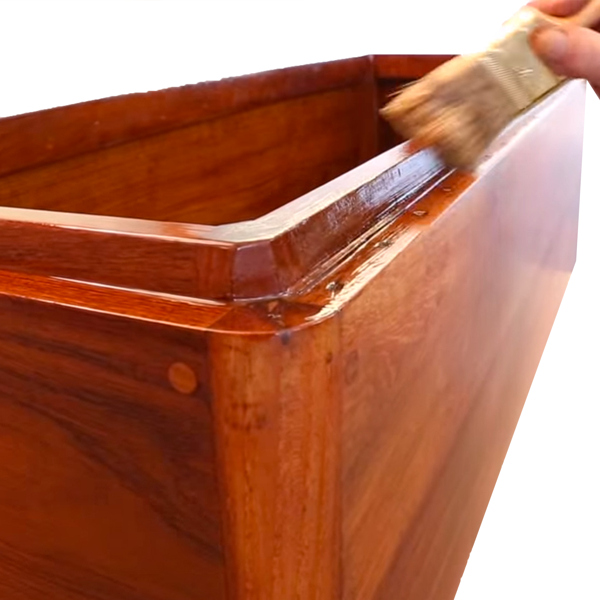 Varnish_1.png