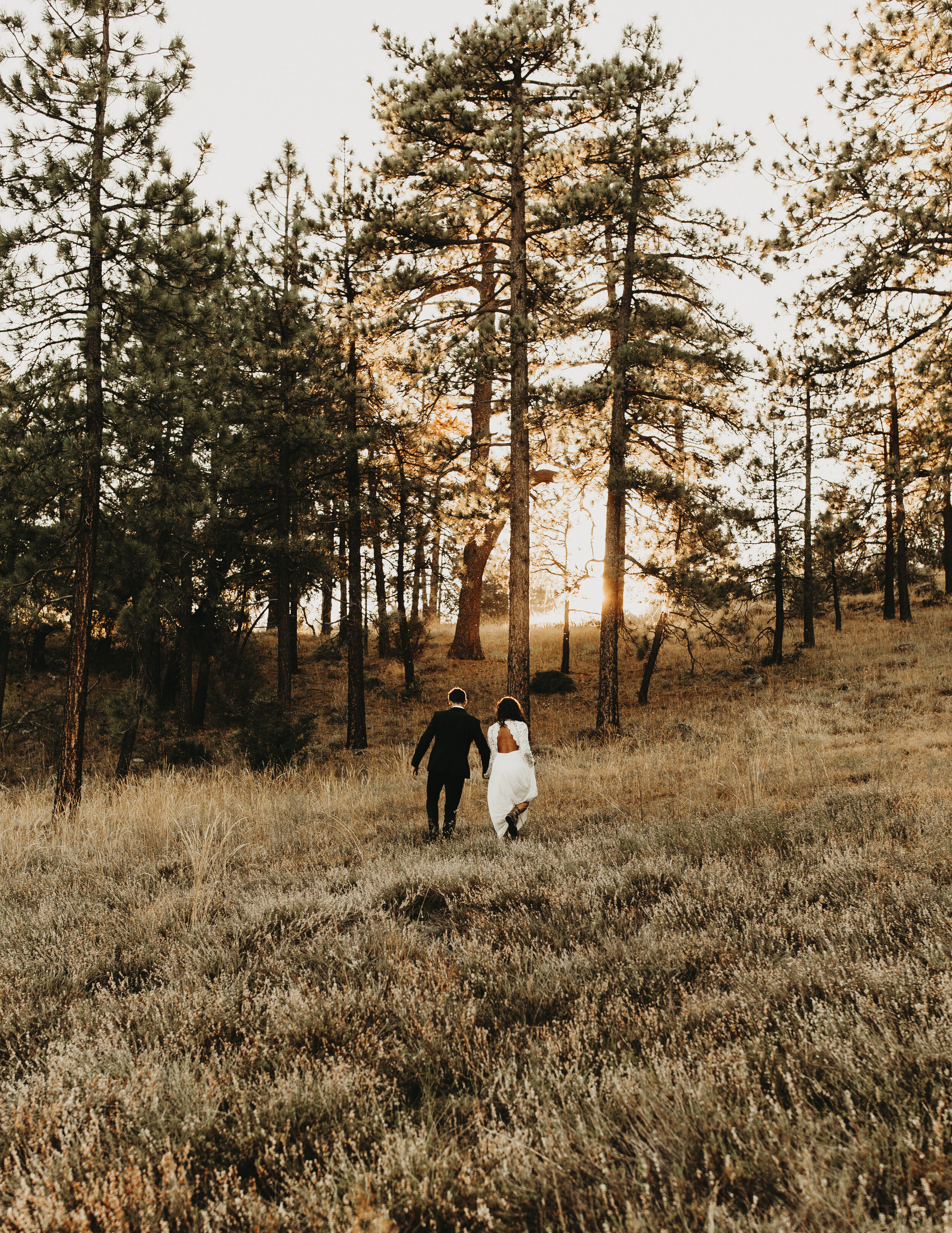 -MountLaguna_Elopement_Photographer9963copy.jpg