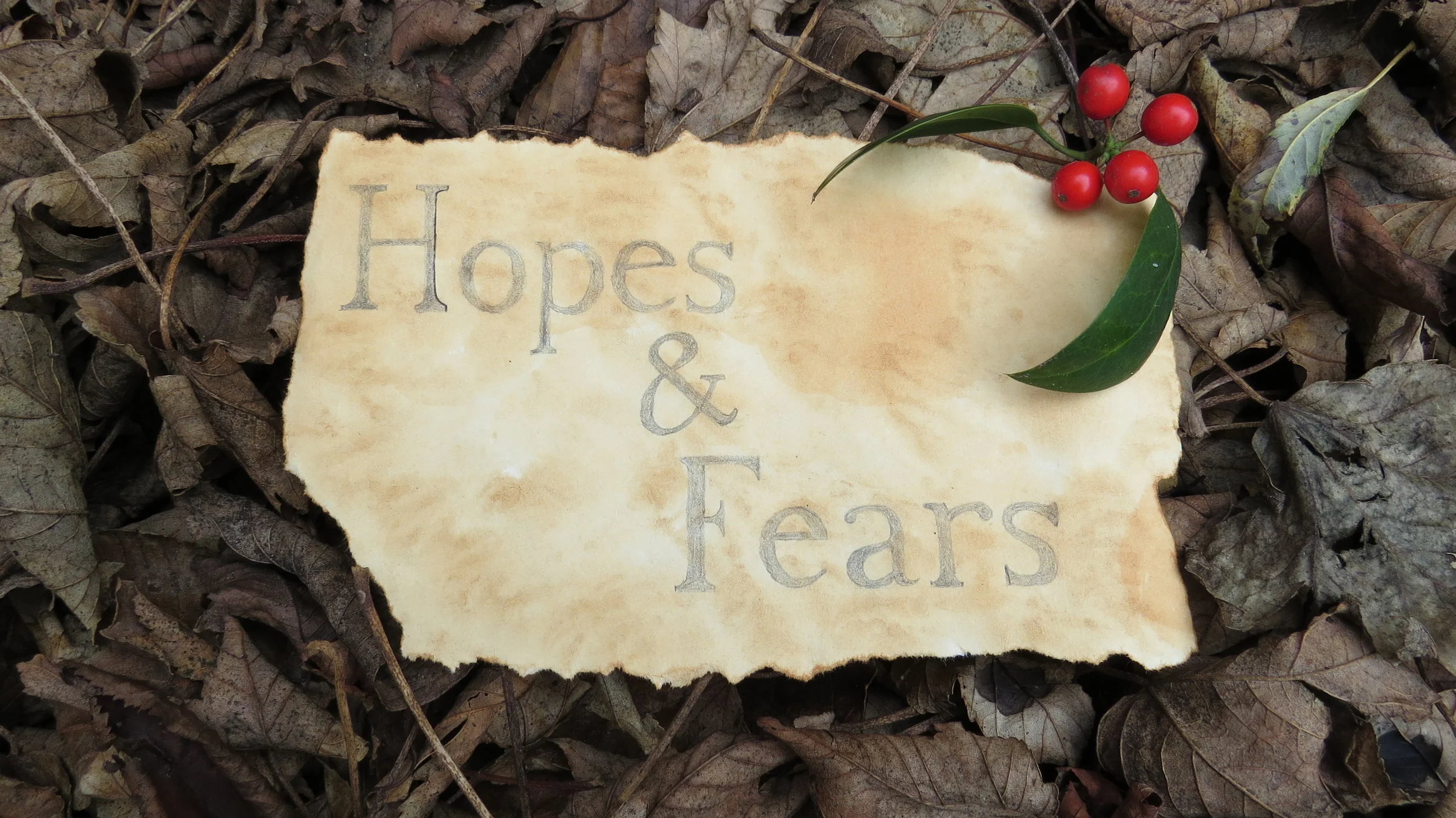 Hopes and Fears