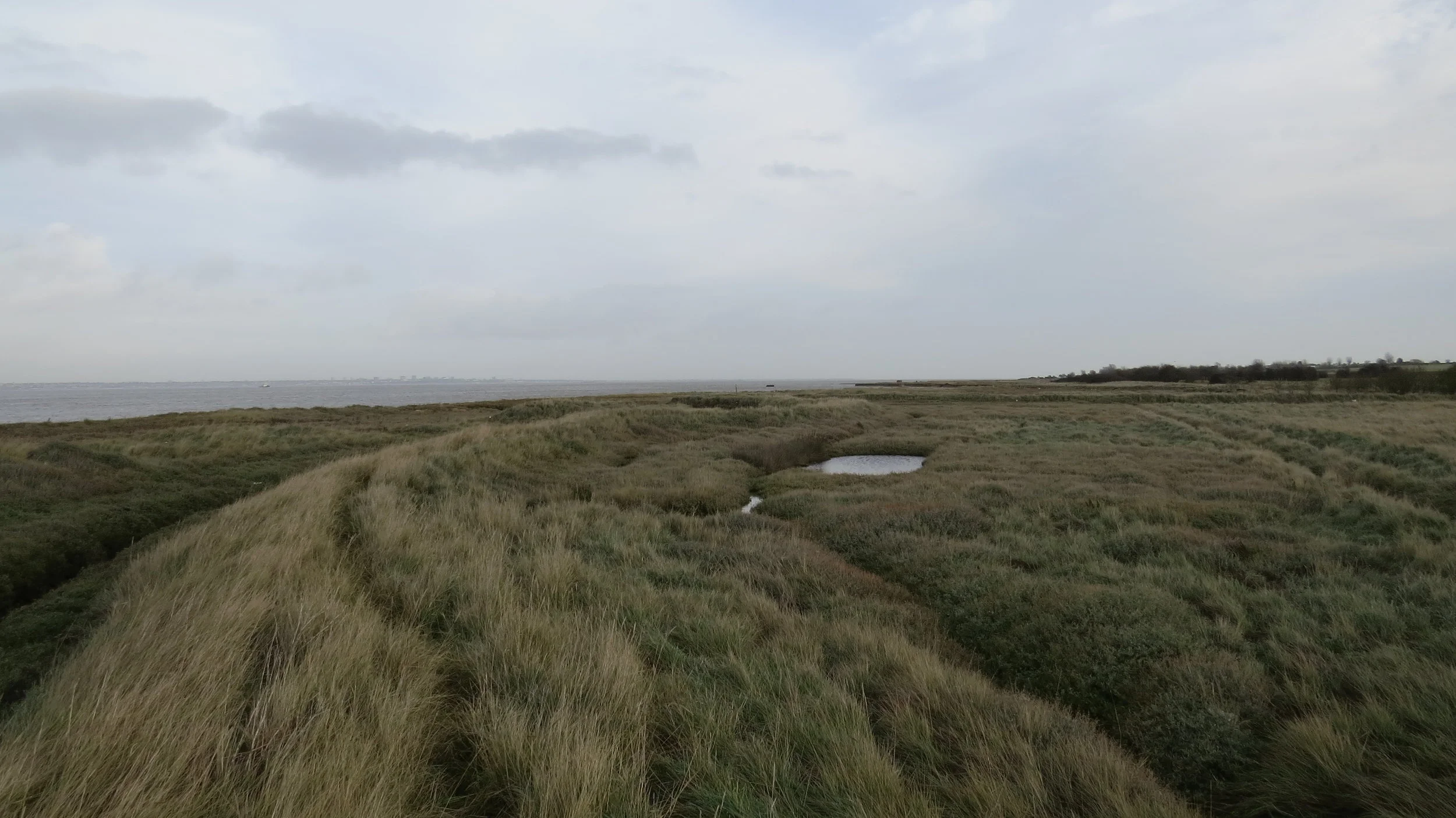 Day 003: Cliffe to Grain